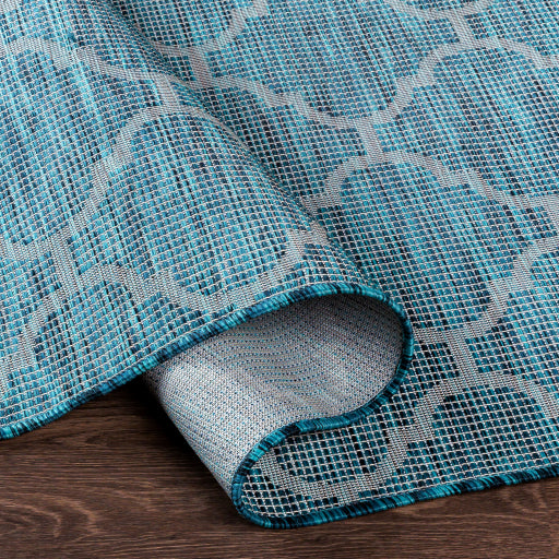 surya pasadena psa 2342 aqua rug
