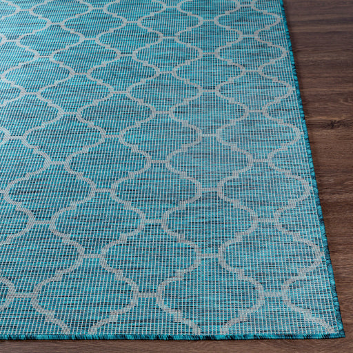 surya pasadena psa 2342 aqua rug