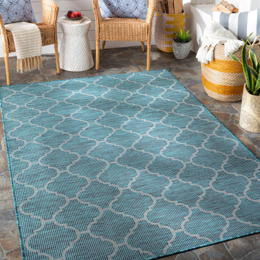 surya pasadena psa 2342 aqua rug
