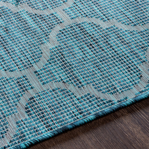 surya pasadena psa 2342 aqua rug