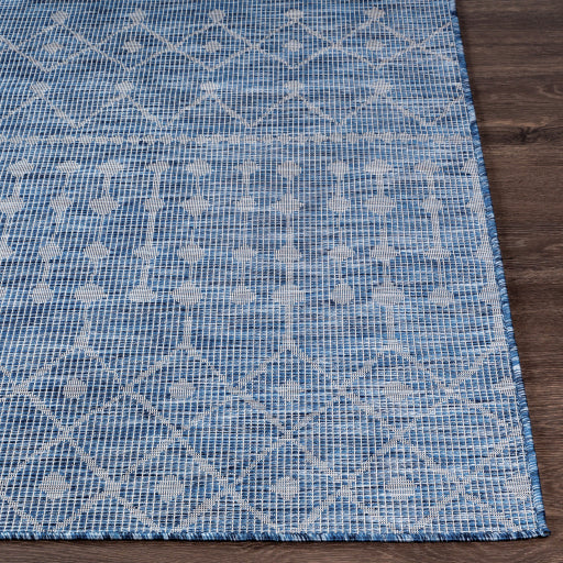 surya pasadena psa 2375 navy rug