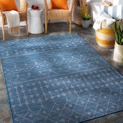 surya pasadena psa 2375 navy rug