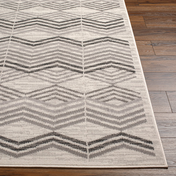 surya pisa pss 2352 light grey rug