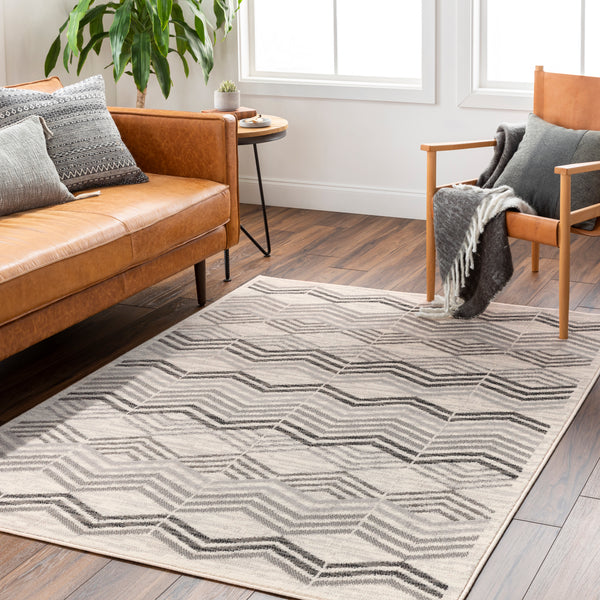 surya pisa pss 2352 light grey rug