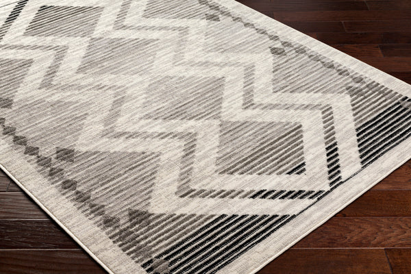 surya pisa pss 2353 light grey rug