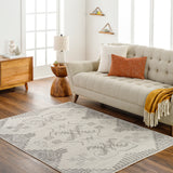 surya pisa pss 2360 light grey rug