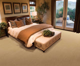 Rugs Done Right Custom Grand Velvet PT99 Beige Rug