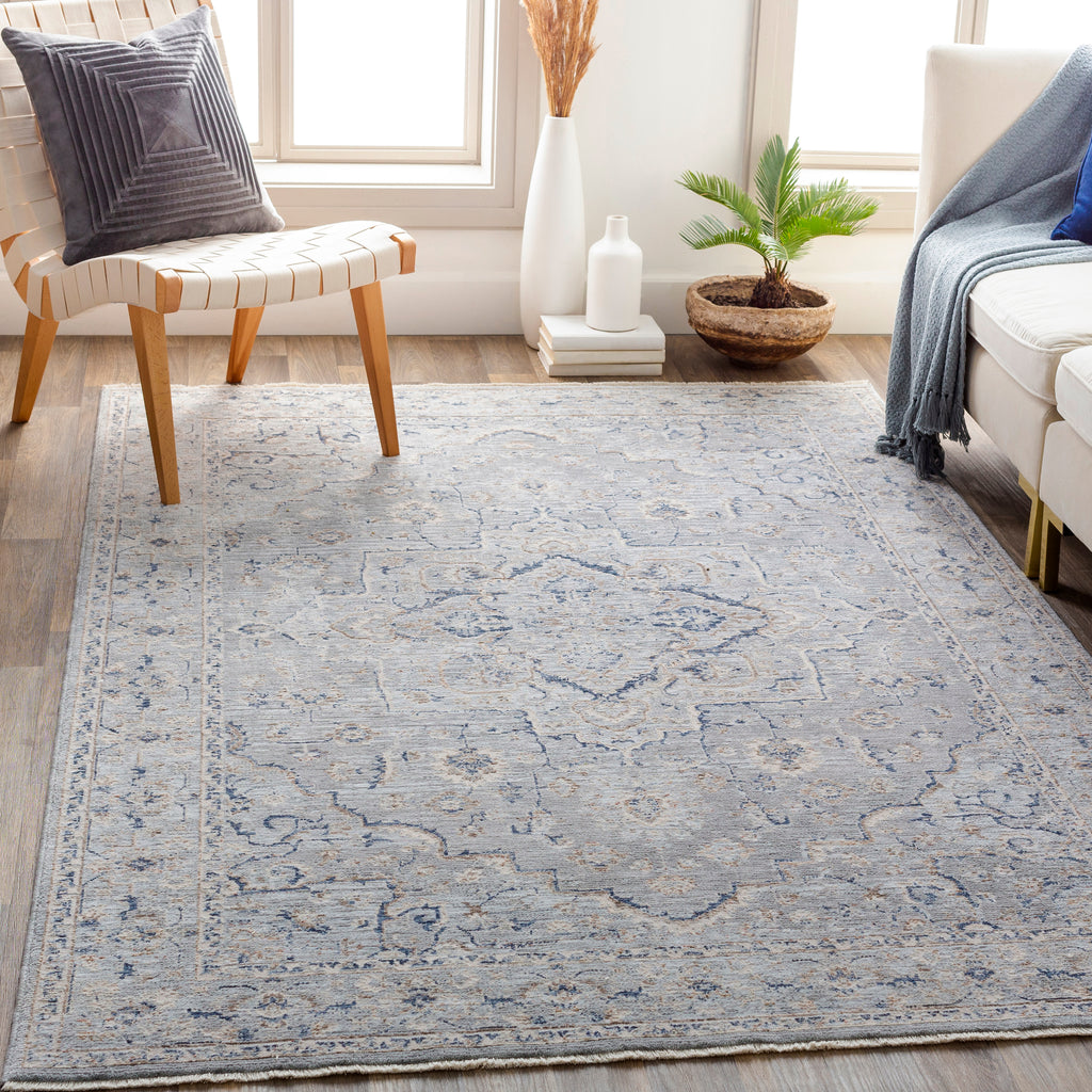 Surya Palazzo Taupe Rug | Taupe Rugs | Rugs Done Right 