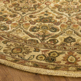 Safavieh Clearance Antiquities AT51C Gold Rug