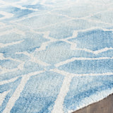 Safavieh Clearance Dip Dyes DDY678G Blue Rug