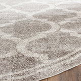 Safavieh Clearance Amherst AMT415C Grey Rug