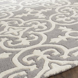 Safavieh Clearance Chatham CHT729D Dark Grey Rug