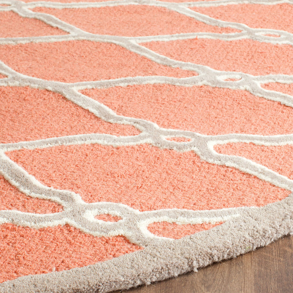 Safavieh Clearance Cambridge CAM352W Coral Rug
