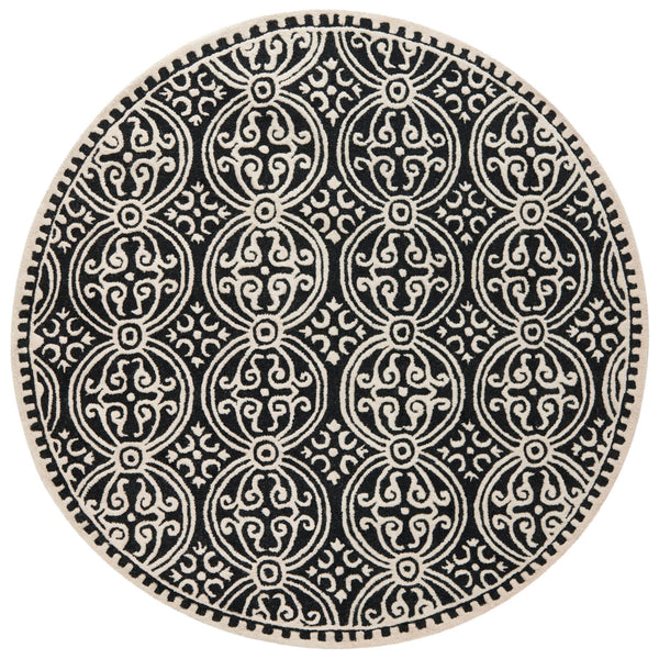 Safavieh Clearance Cambridge CAM123E Black Rug