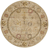 Safavieh Clearance Antiquities AT859B Taupe Rug
