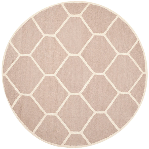 Safavieh Clearance Cambridge CAM144J Beige Rug