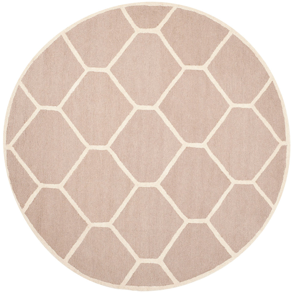Safavieh Clearance Cambridge CAM144J Beige Rug