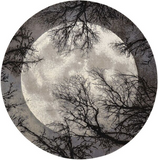 Nourison Clearance Twilight TWI17 Grey Rug