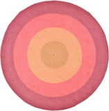 Safavieh Clearance Braided BRD165A Purple Rug