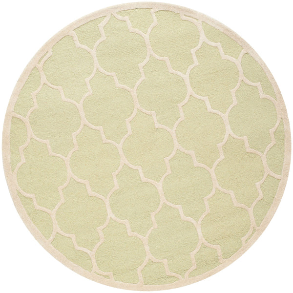 Safavieh Clearance Cambridge CAM134B Light Green Rug