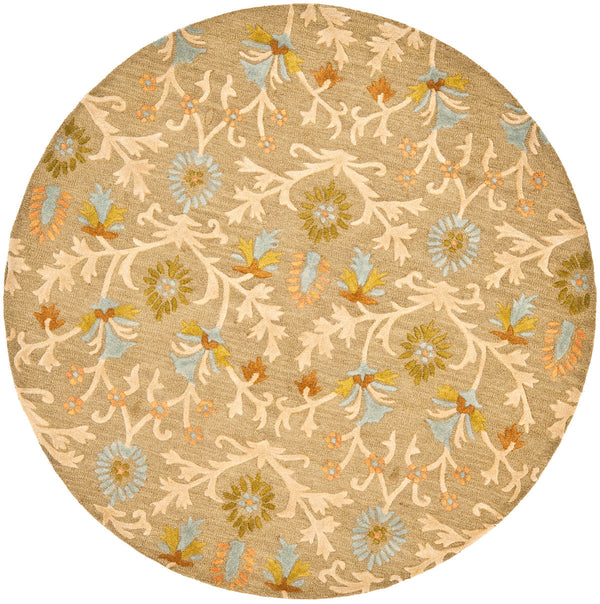 Safavieh Clearance Cambridge CAM235A Moss Rug