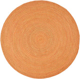 Safavieh Clearance Braided BRD166A Rust Rug