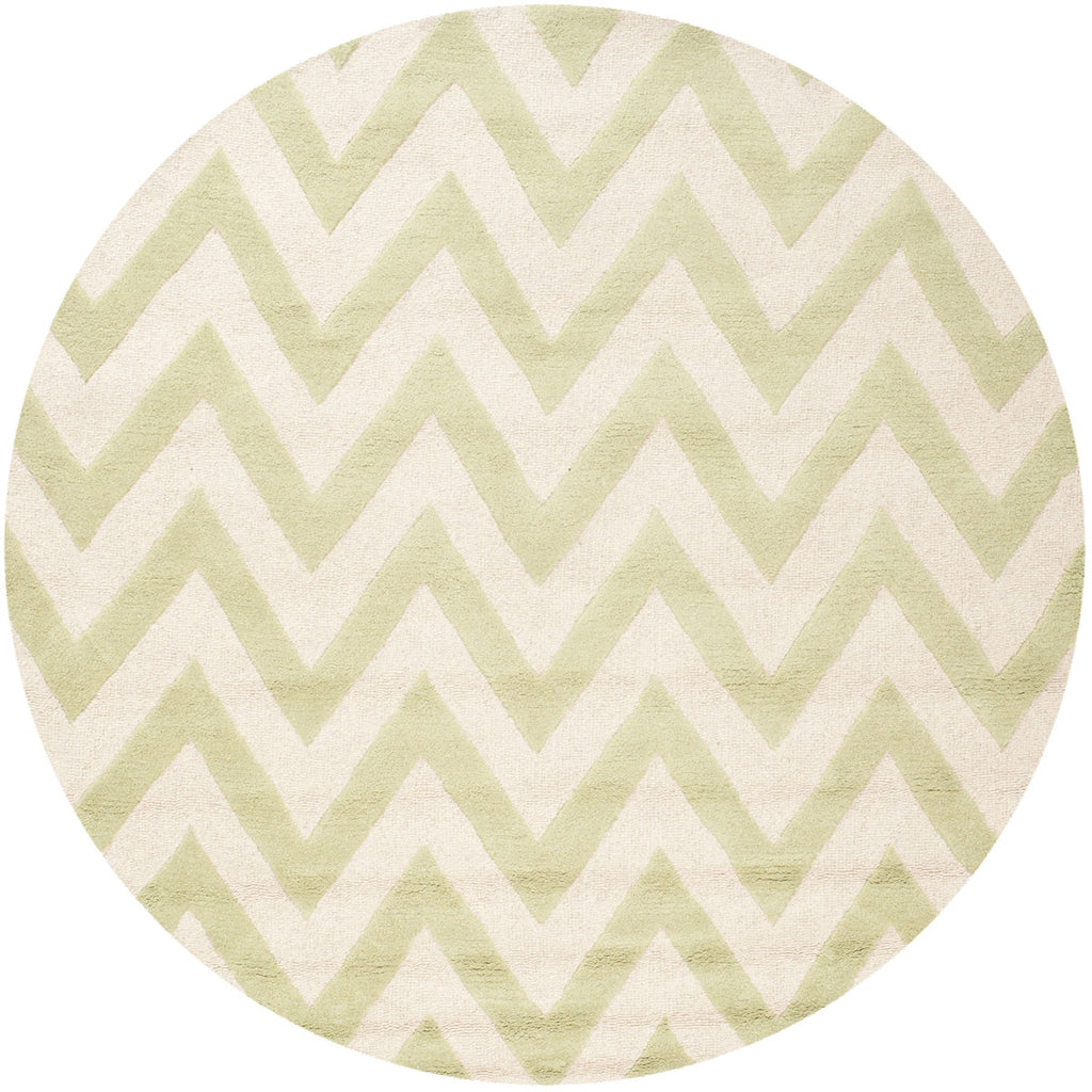 Safavieh Clearance Cambridge CAM139B Light Green Rug