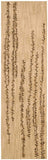 Nourison Clearance Radiant Impression LK04 Beige Rug