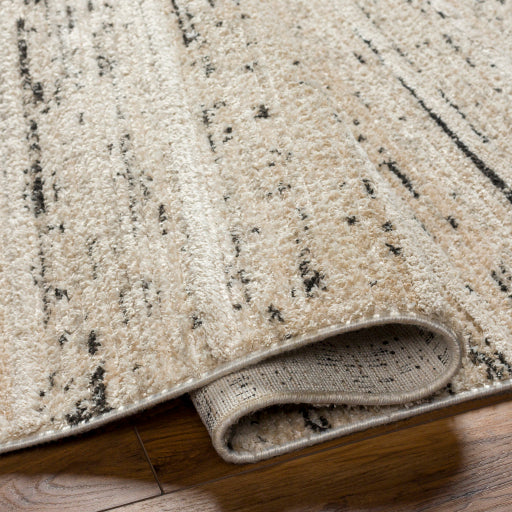 surya rudy rdy 2300 light grey rug