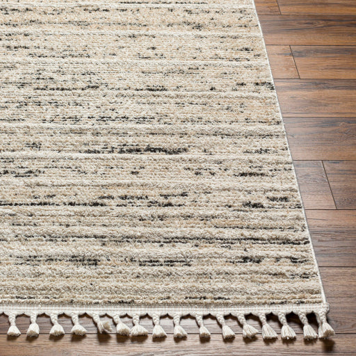 surya rudy rdy 2300 light grey rug
