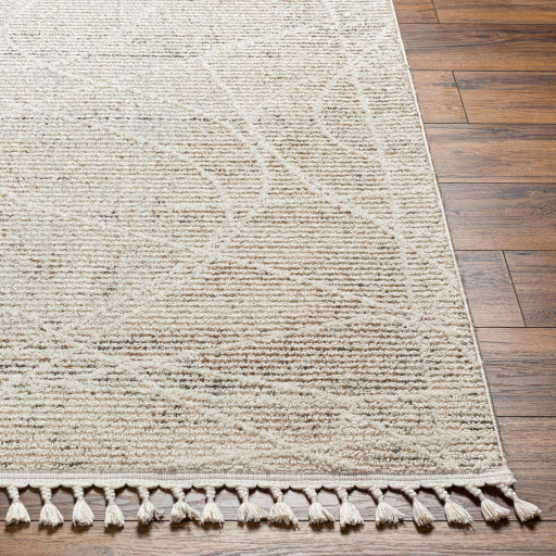 surya rudy rdy 2303 light grey rug