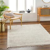 surya rudy rdy 2303 light grey rug