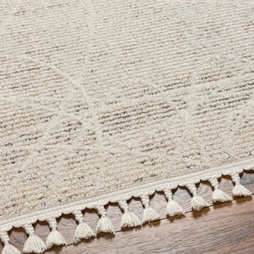 surya rudy rdy 2303 light grey rug
