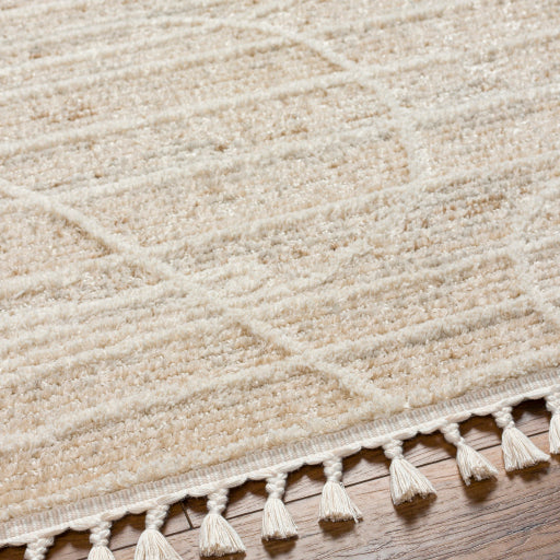 surya rudy rdy 2304 light grey rug