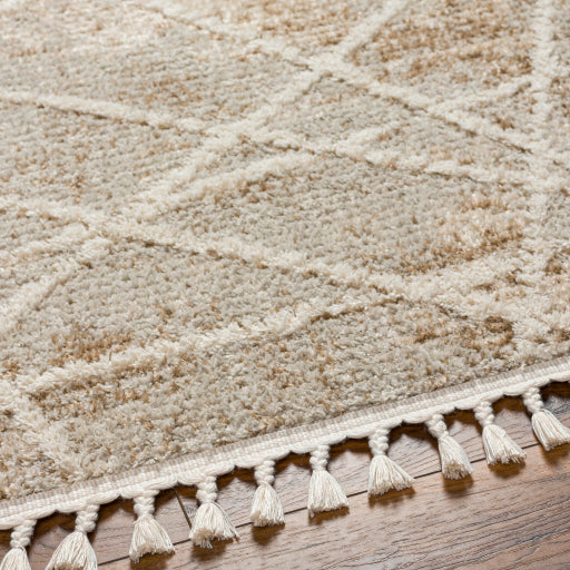 surya rudy rdy 2308 light grey rug