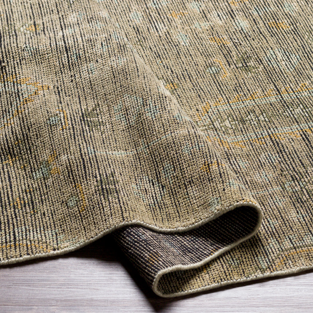 surya reign reg 2302 sage rug