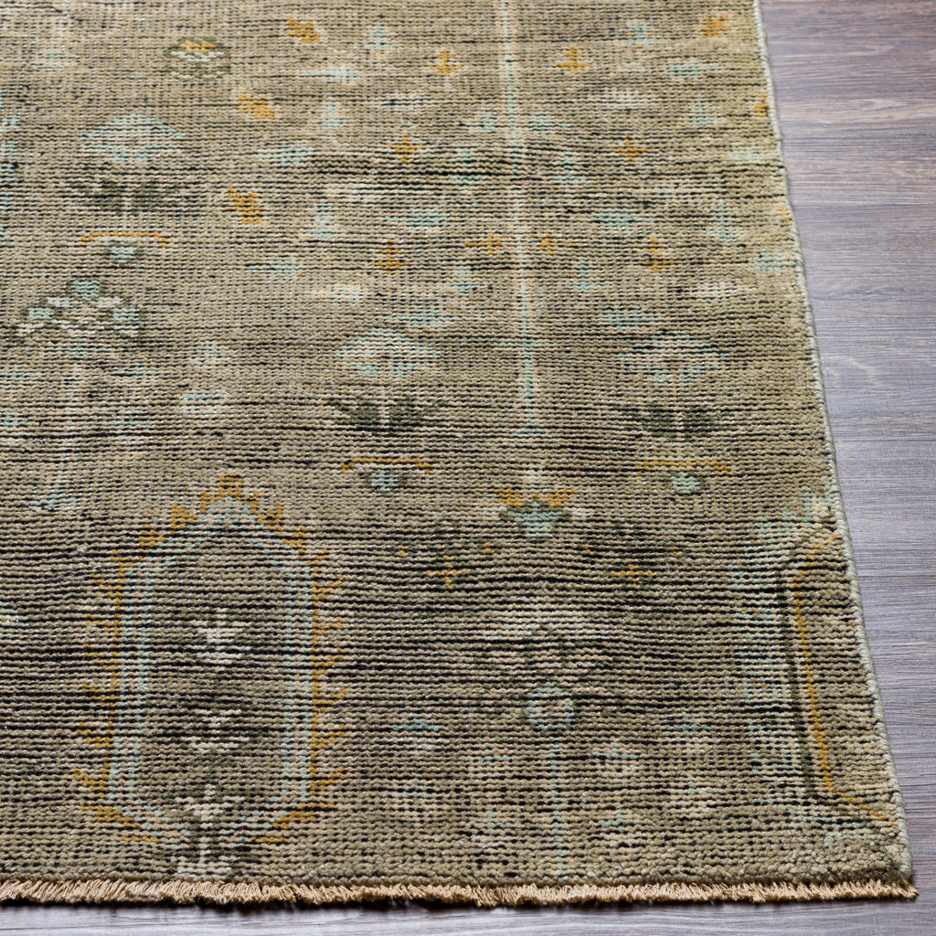 surya reign reg 2302 sage rug