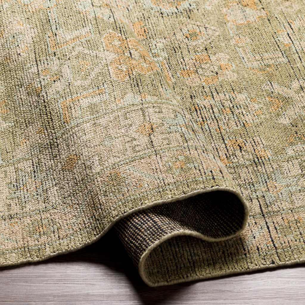 surya reign reg 2303 sage rug