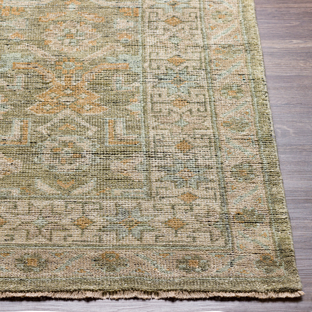 surya reign reg 2303 sage rug
