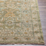 surya reign reg 2303 sage rug