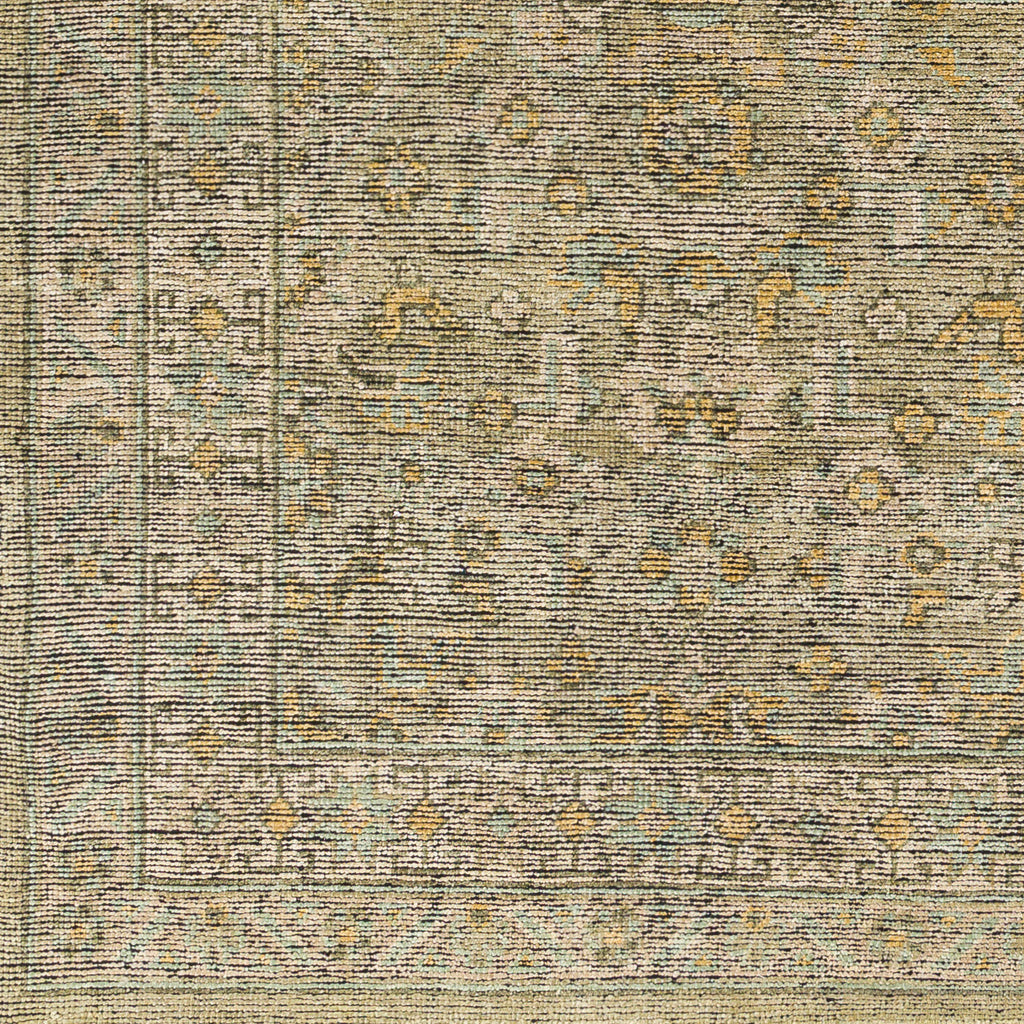 surya reign reg 2303 sage rug