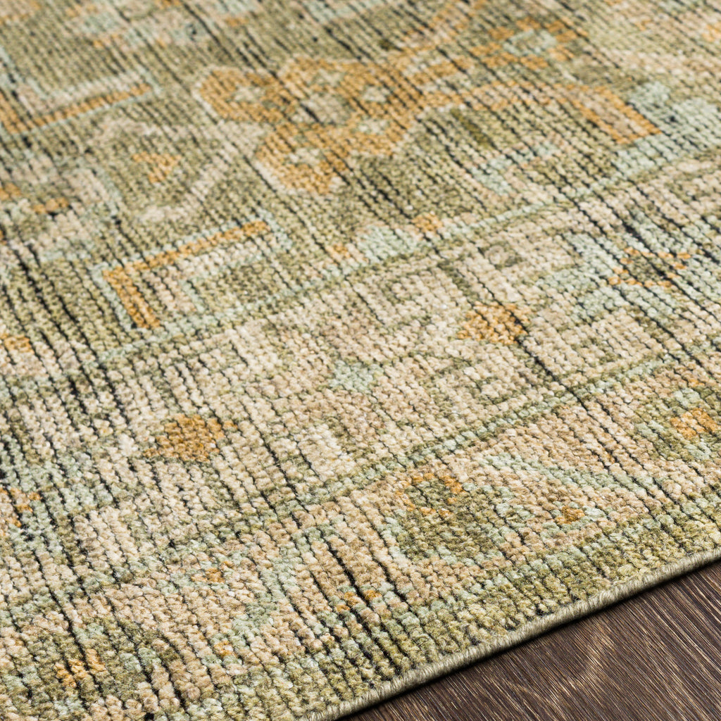 surya reign reg 2303 sage rug
