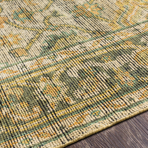 surya reign reg 2305 khaki rug