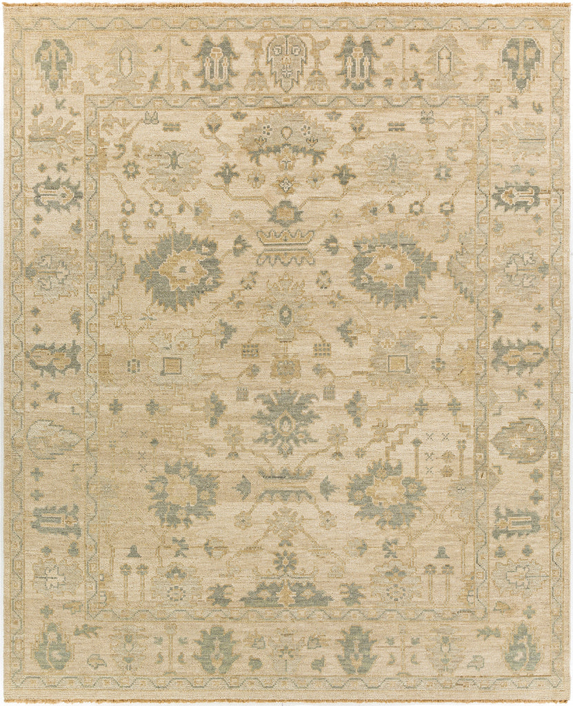 surya reign reg 2307 sage rug