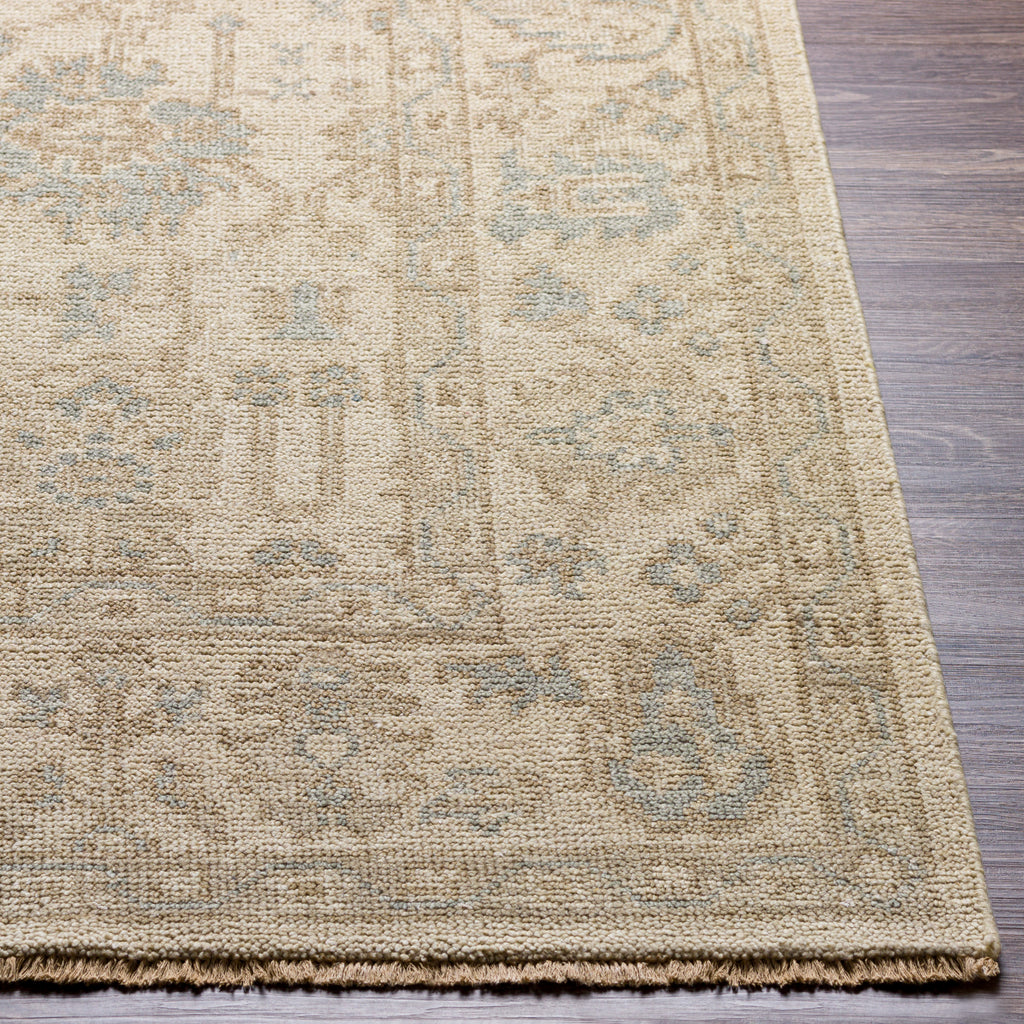 surya reign reg 2307 sage rug