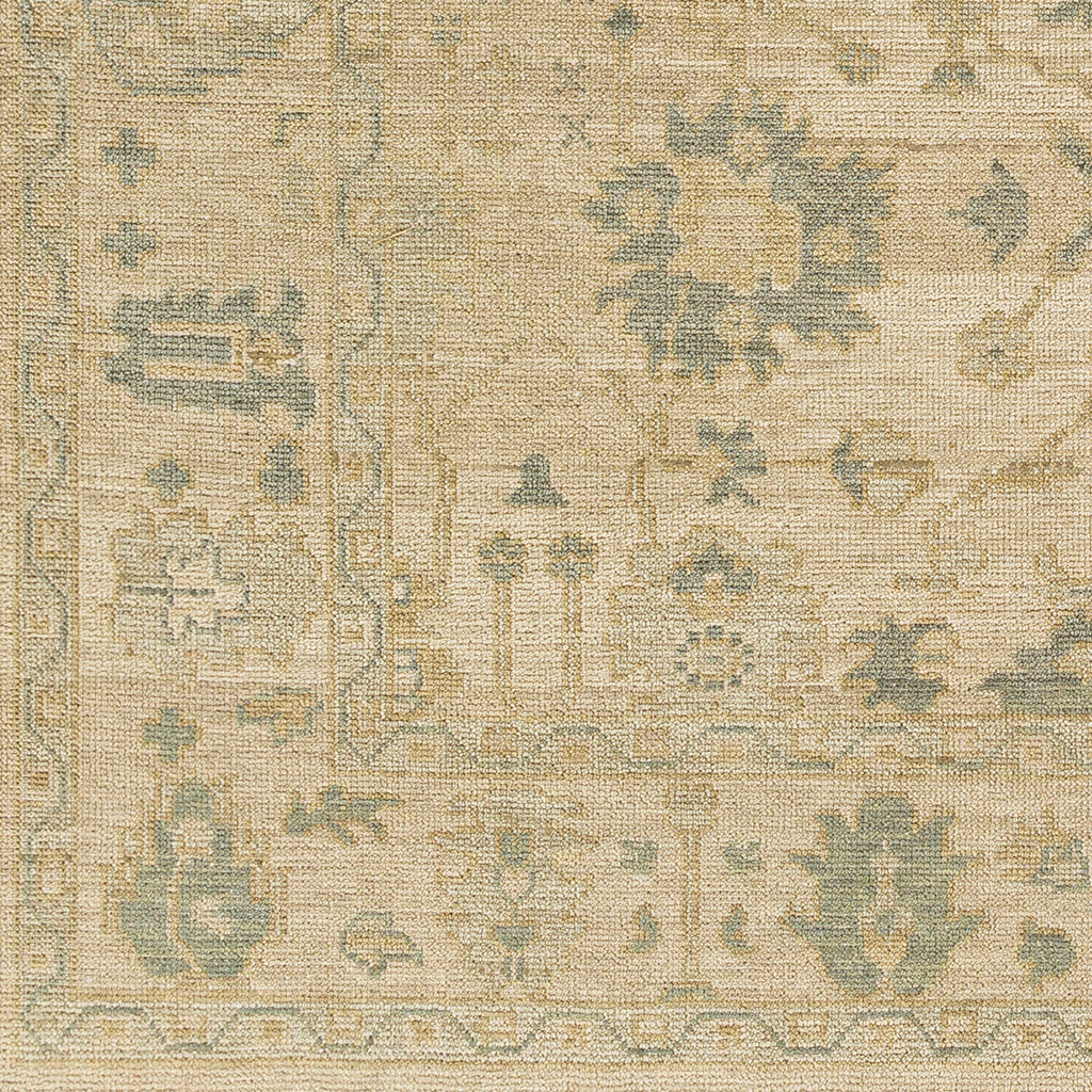 surya reign reg 2307 sage rug