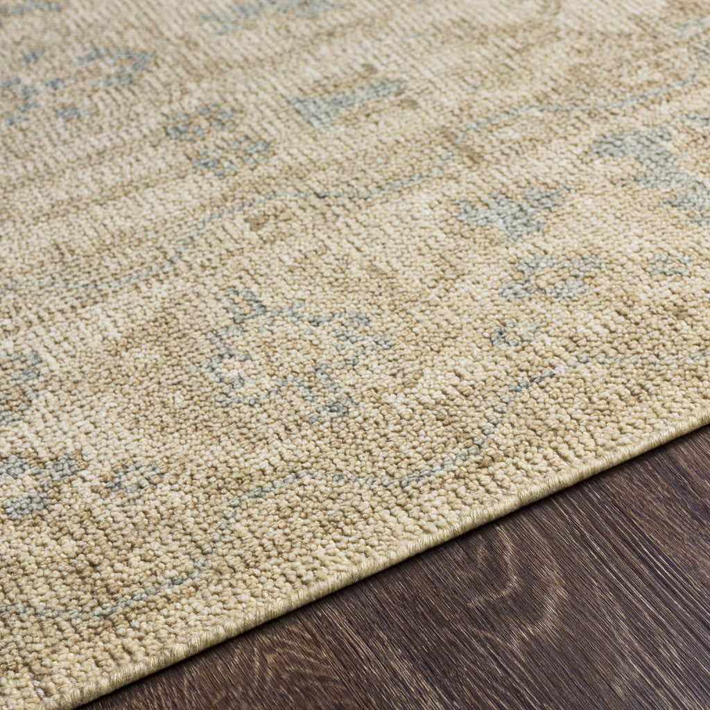 surya reign reg 2307 sage rug