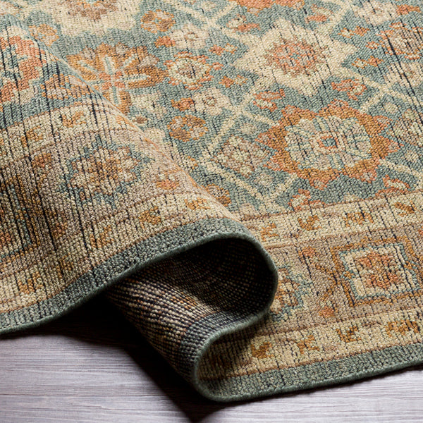 surya reign reg 2308 sage rug