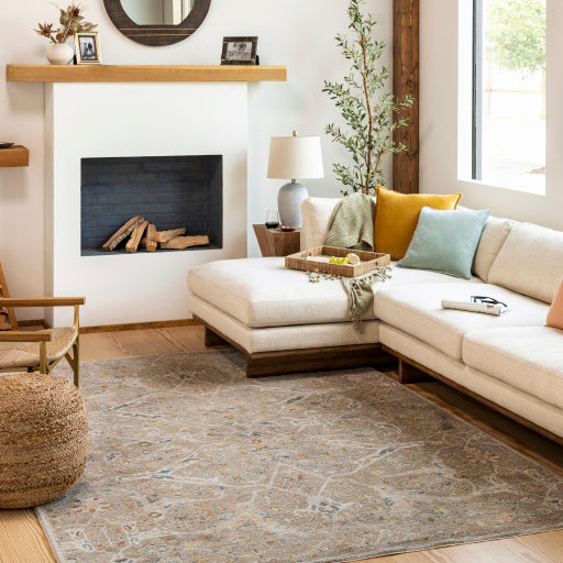 surya reina ren 2300 light brown rug