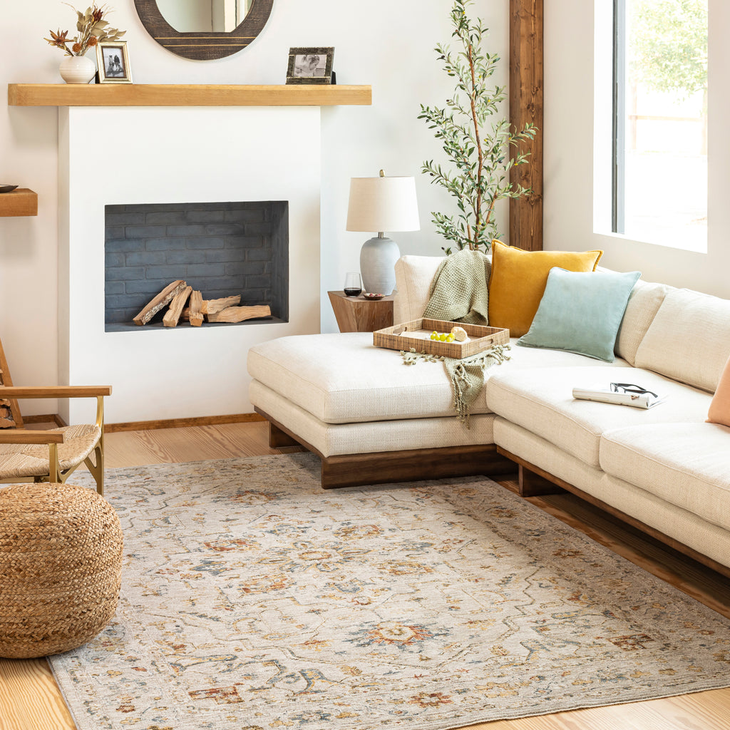 surya reina ren 2303 light gray rug